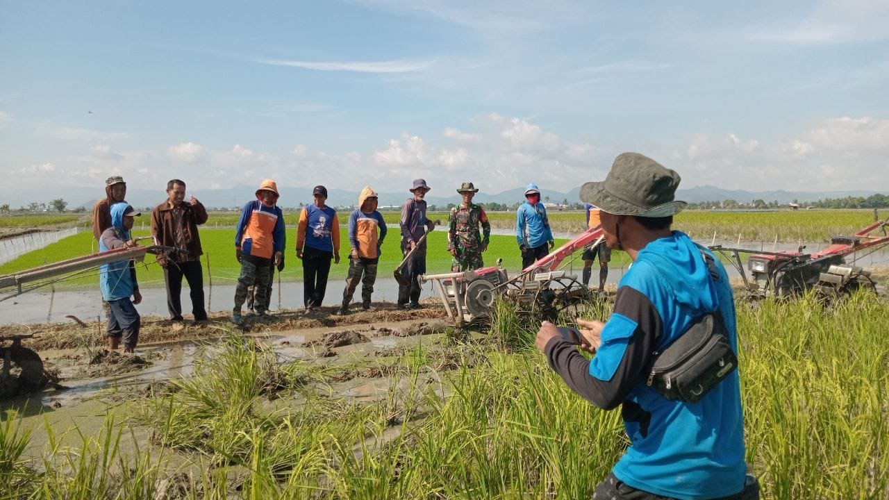 Babinsa dan PPL Dampingi Kelompok Tani Ingerrang Olah Lahan Sawah di Kanyuara