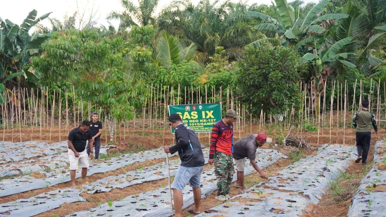 Satgas TMMD ke-127 dan Warga Tri Buana Kompak Tanam Sayur untuk Ketahanan Pangan