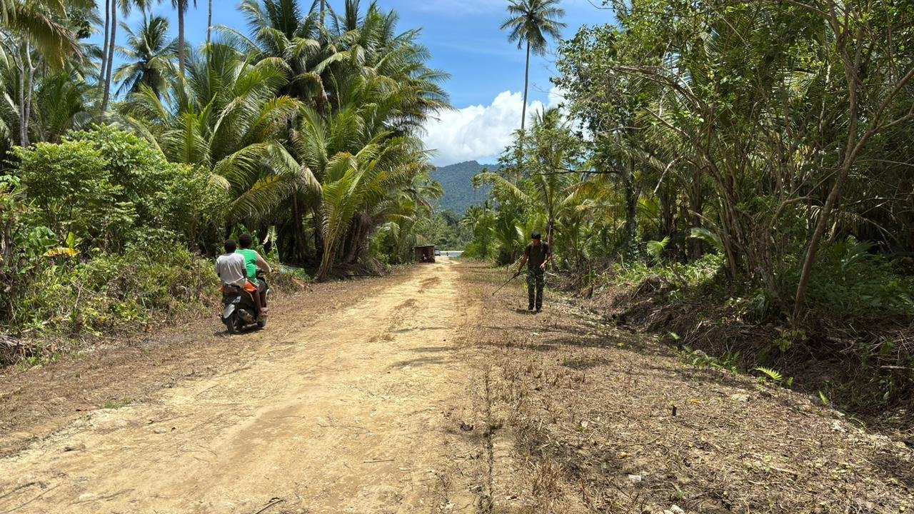 Dipimpin Letda Inf Imanuel Giay, Satgas TMMD 127 Kaimana Bersihkan Akses Jalan dari Rumput Liar